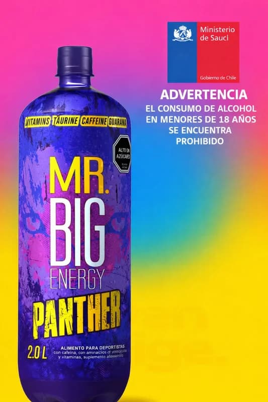 Mr. Big Energy Panther 2 Litros