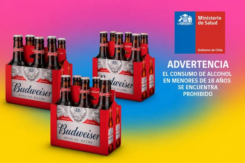💥 ¡3 Six Packs Budweiser Botellin al Mejor Precio!